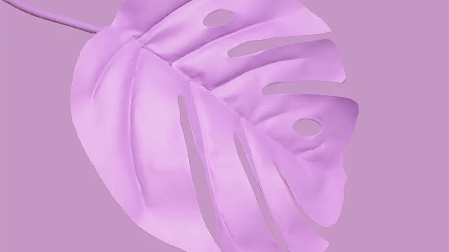 bio seaweed natural plastic