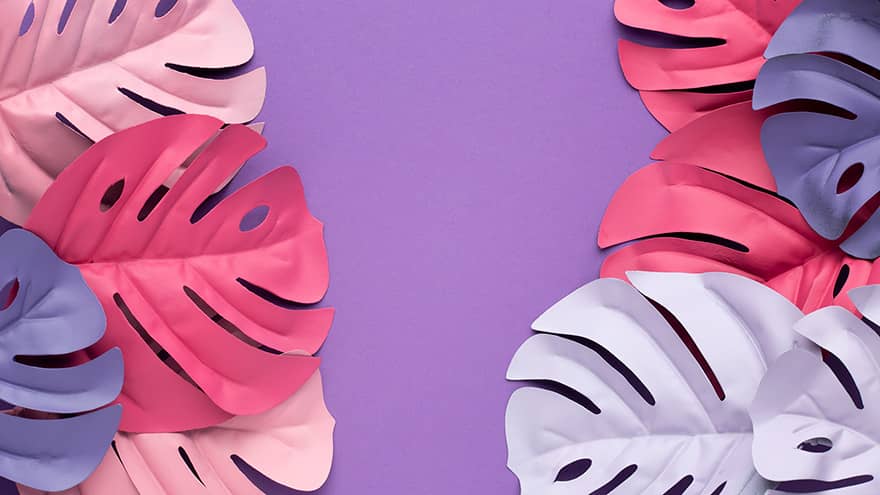 bio seaweed natural plastic